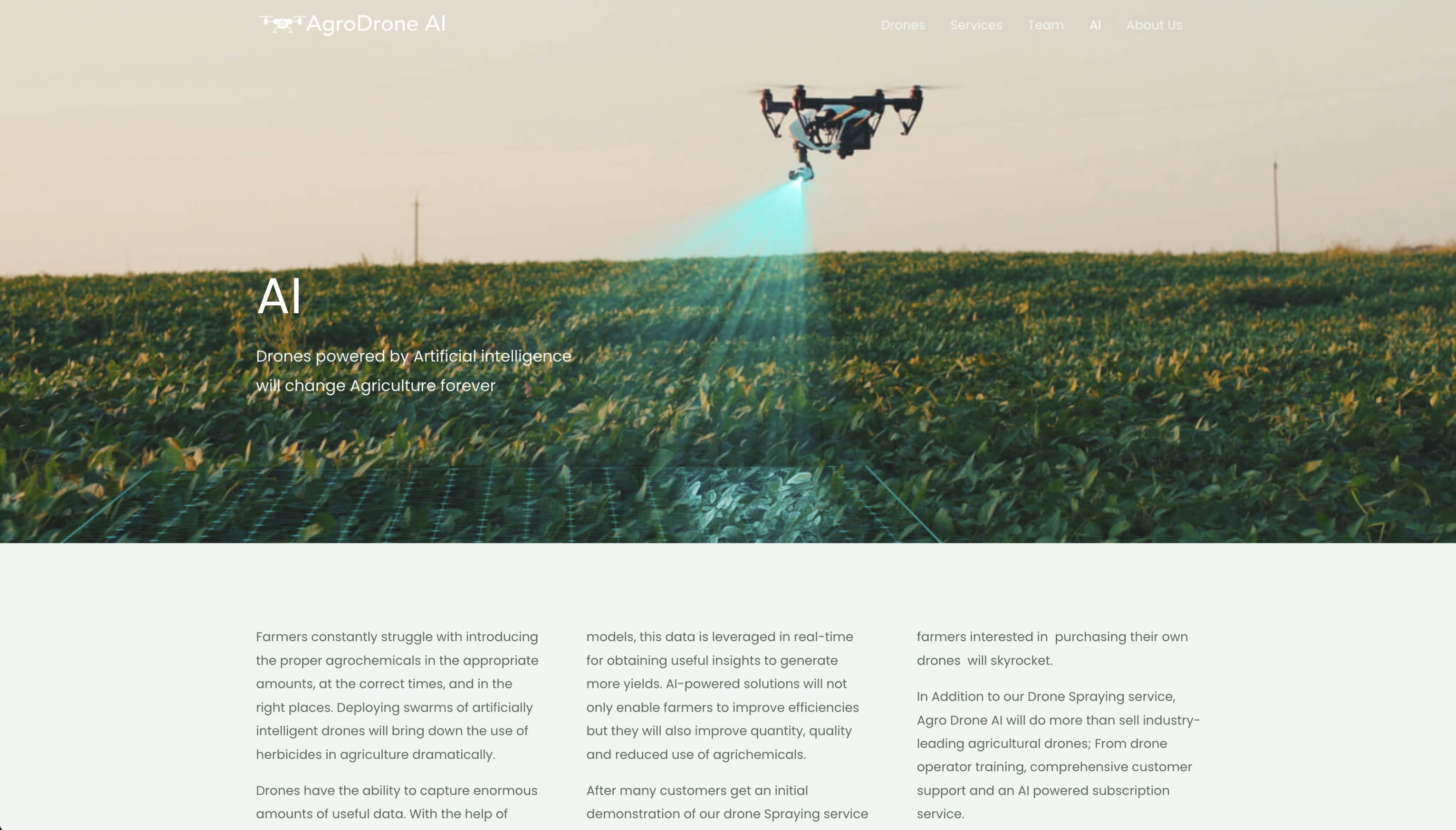 Full-width image