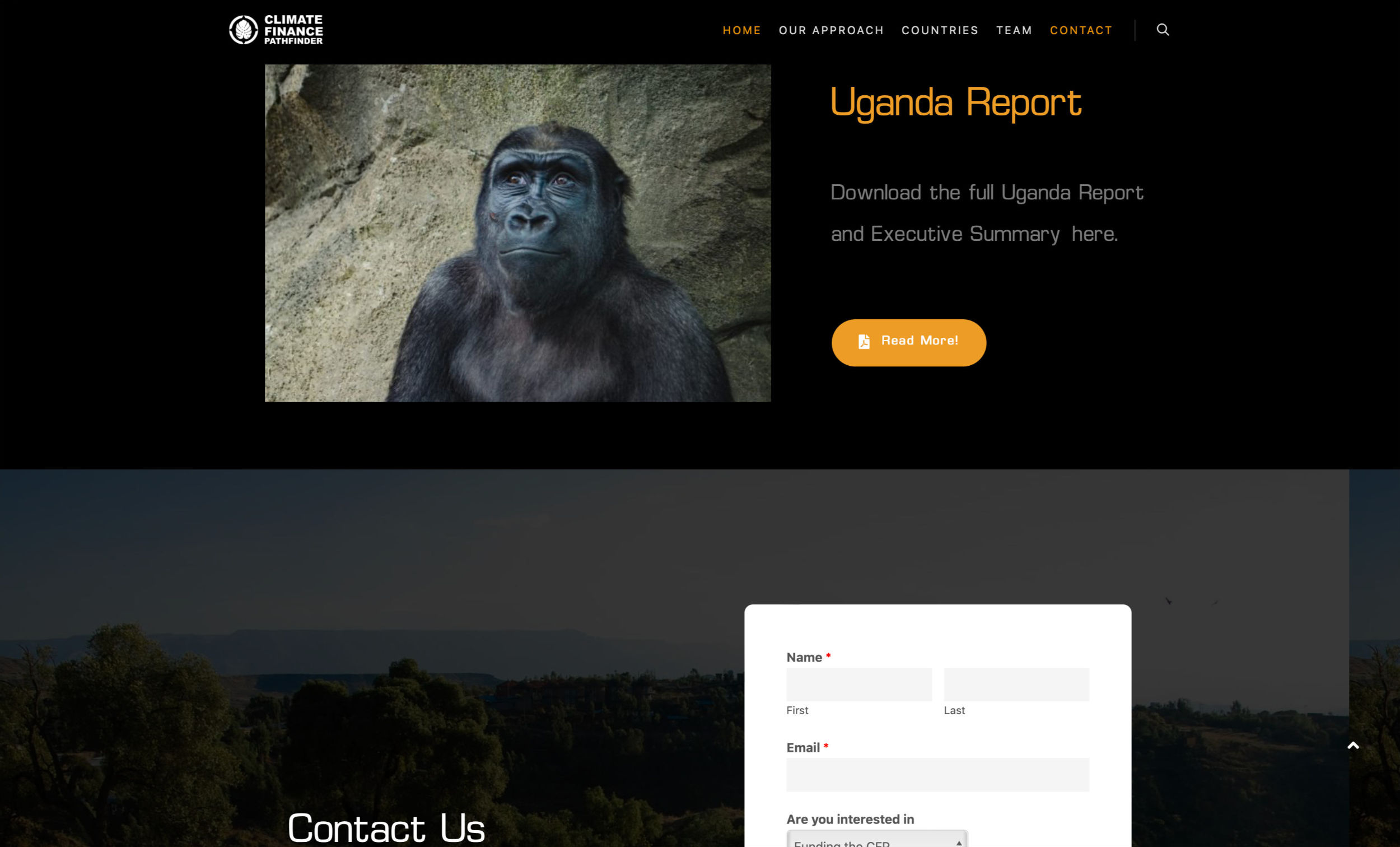 Full-width image