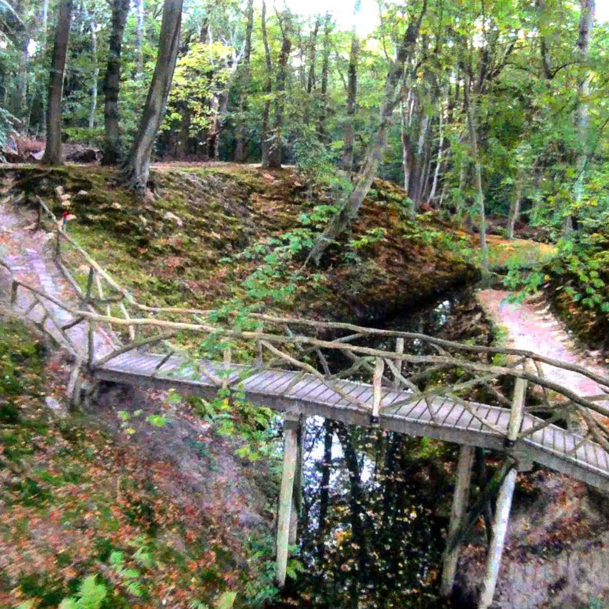 Full-width image