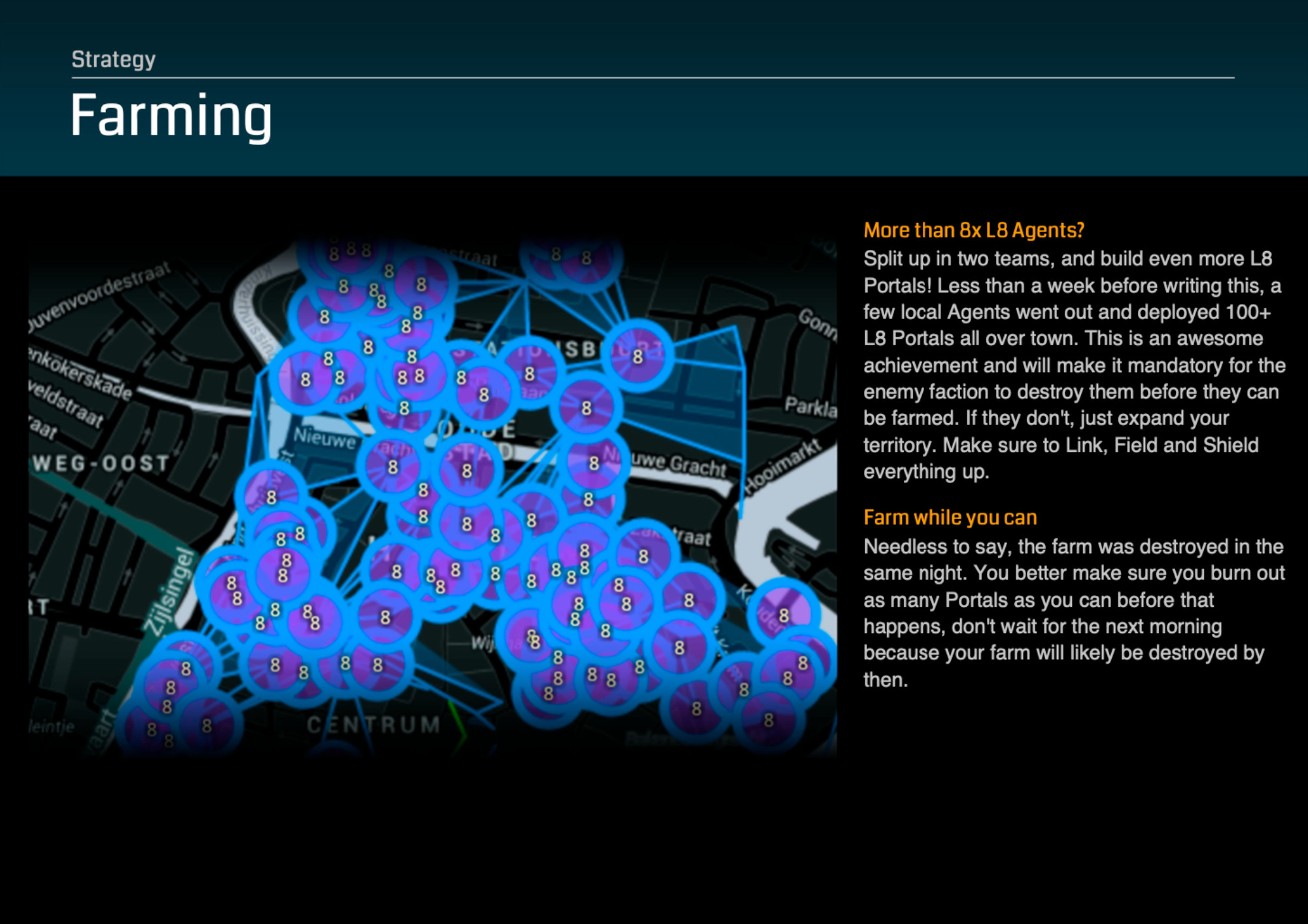 Full-width image