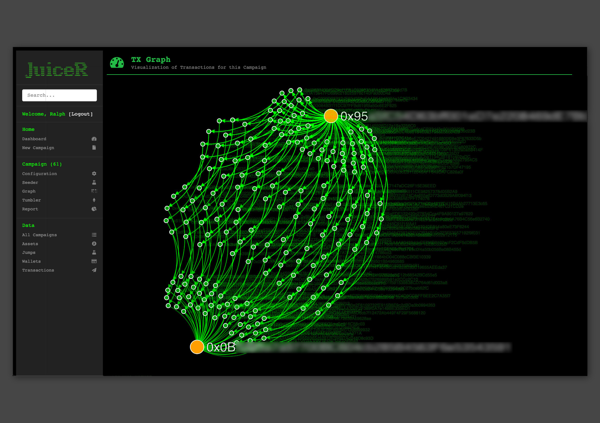 Full-width image